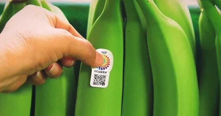 #CoupeDuMondeDesStartups: Equateur, le QR code donne la banane au tourisme