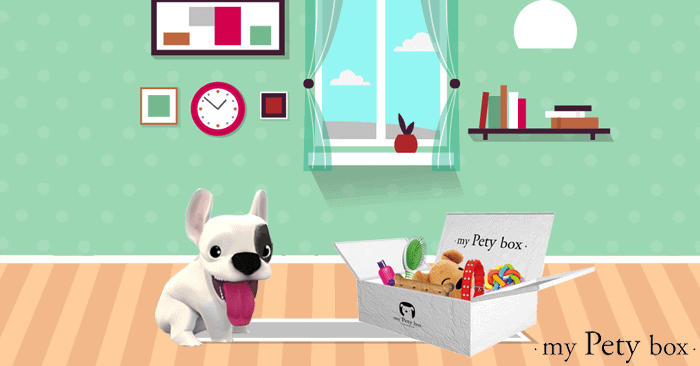 My Pety Box, le concept de la Box cadeau pour chien