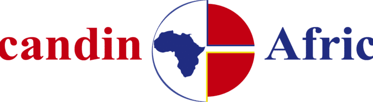 Scandin-Africa : the trade bridge between Scandinavia and Africa