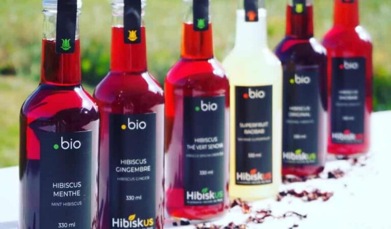 Hibiskus Gourmet : production artisanale et commercialisation d&rsquo;infusions glacées et gelées d&rsquo;hibiscus et de Nectar de Baobab