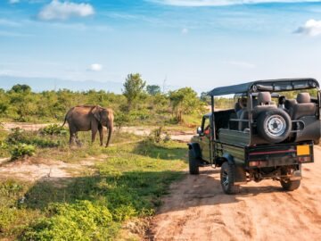 travel agency for a safari