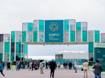 COP29