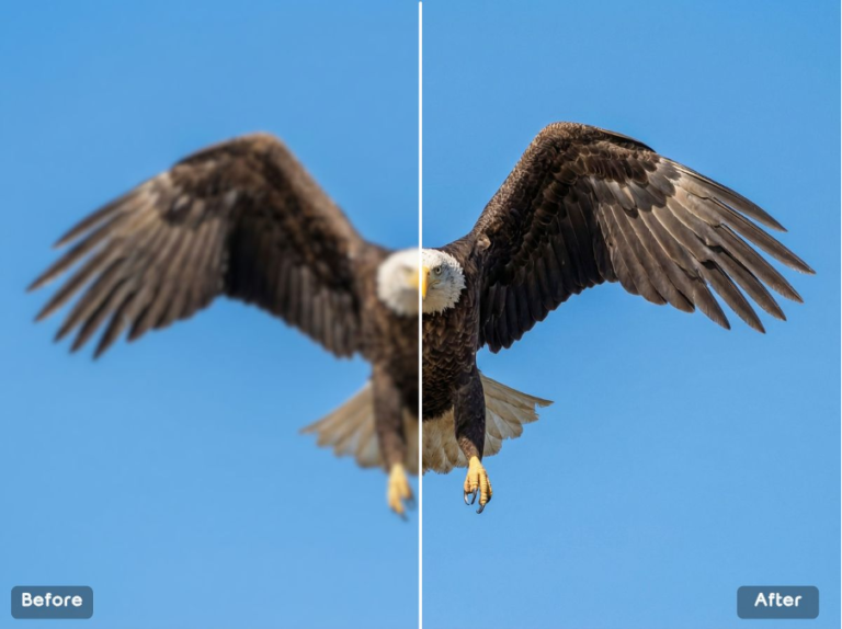 free fix for images