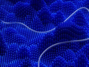 a string is attached to a blue object