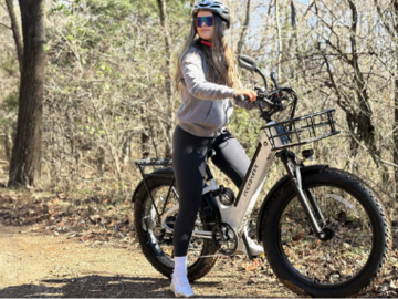 Step-Through Electric Bike